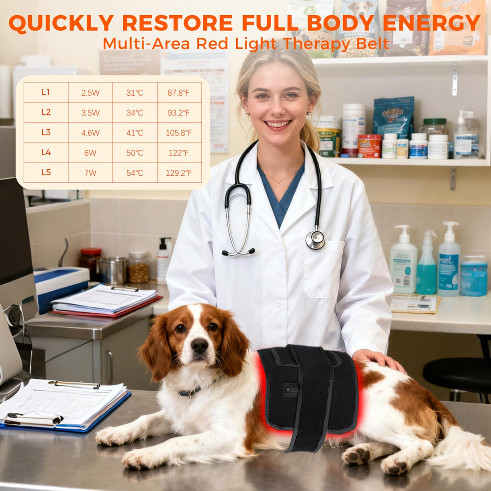 ZAEXAE post-surgery infrared therapy belt supporting comfort.