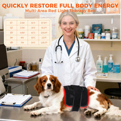 ZAEXAE post-surgery infrared therapy belt supporting comfort.