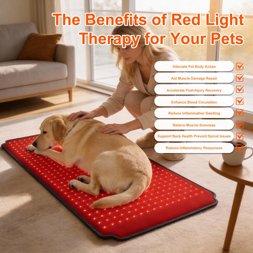 ZAEXAE red light pad on legs delivers targeted warmth and comfort.