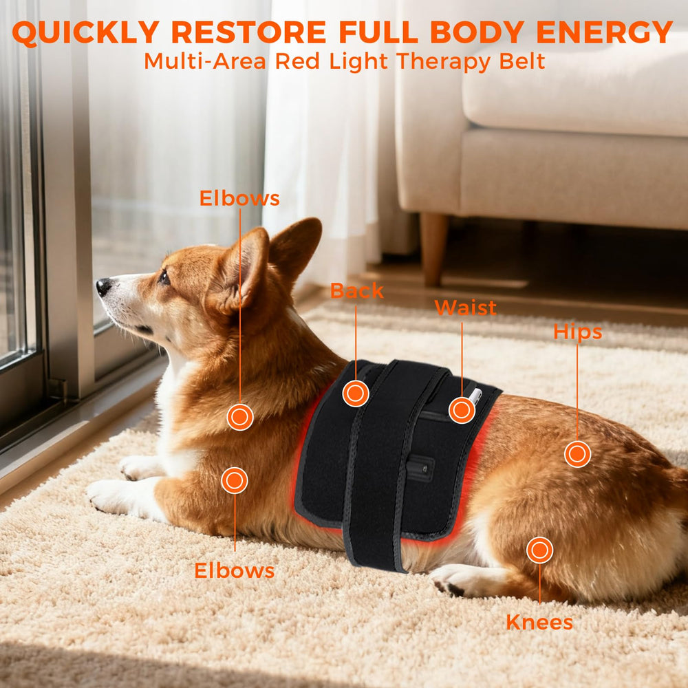 ZAEXAE wrap-around belt around a dog's body for relief.