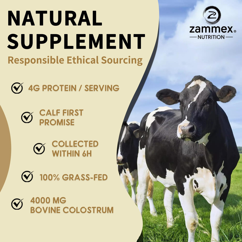 Zammex Bovine Colostrum Powder label highlights grass-fed origins and clean standards.