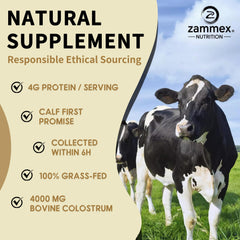 Zammex Bovine Colostrum Powder label highlights grass-fed origins and clean standards.