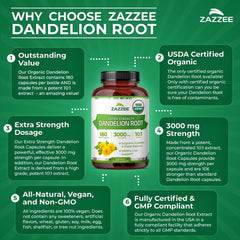 Zazzee capsule close-up reveals vegan capsule design.