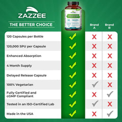 Zazzee Serrapeptase packaging box display illustrating complete set.