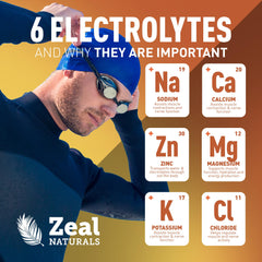 Zeal Electrolyte Powder packaging box and label design