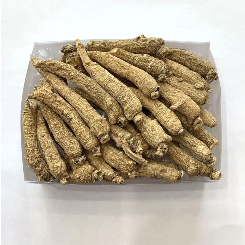 Zen Ginseng Wisconsin ginseng close-up highlighting antioxidant-rich quality.