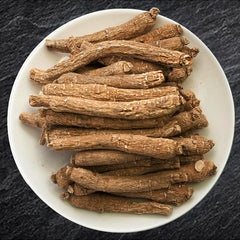 Tiny long Panax ginseng root close-up from Zen Ginseng
