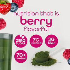 Zena Nutrition mushroom blend close-up with cordyceps and reishi for daily vitality