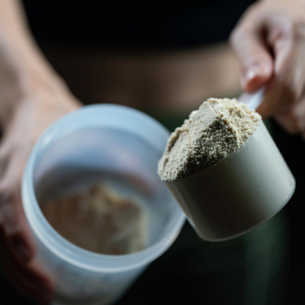 Zenbodi Fuel bottle and glass highlight gluten-free plant protein