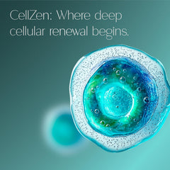 Urolithin A visual cue for senescent cell clearance.