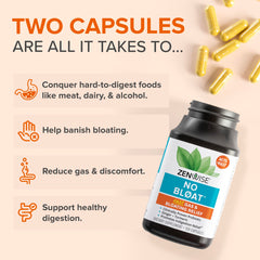 Zenwise No Bloat label emphasizes probiotics reaching the small intestine