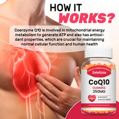 Zetelixia CoQ10 gummies peach scoop illustrating dosage and absorption.