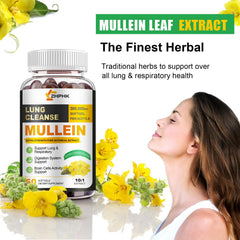 ZHPHK Mullein Leaf Extract capsules ready for daily use