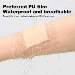ZMZPA 50-pack sterile dressings ready for daily wound care.