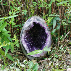 ZOBAYOP crystal gift option for lovers of natural decor and curious collectors.