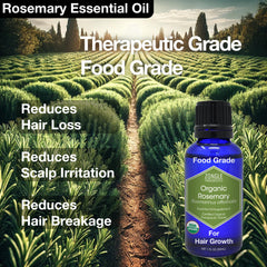 GCMS-tested organic quality from Zongle Therapeutics rosemary oil.