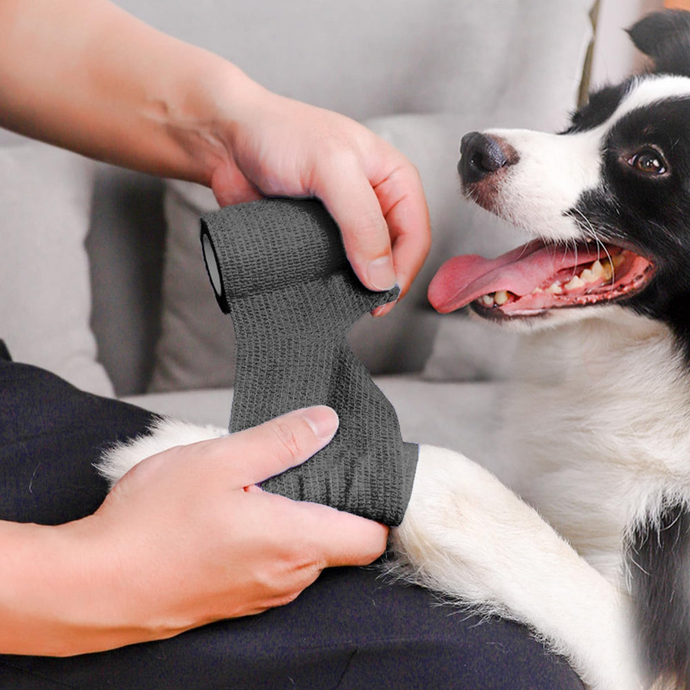 ZOVAREGE vet wrap for pets on dogs, cats, and horses