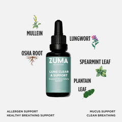 Zuma Nutrition Lung Support Tonic ingredients: mullein close-up highlighting herbal focus