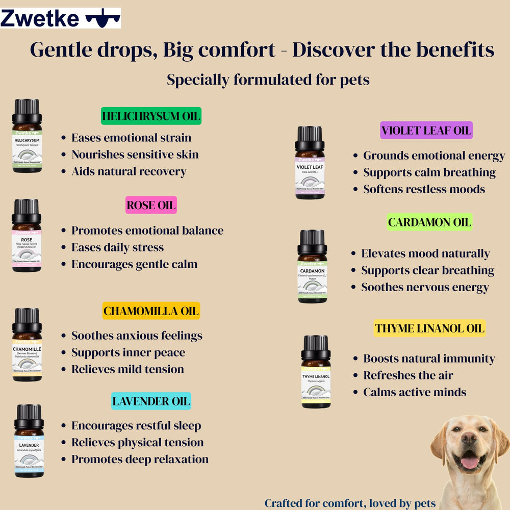 ZWETKE Pastel Chamomile oil bottle promotes gentle relaxation for pets and family