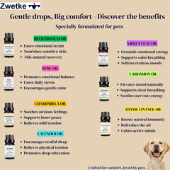 ZWETKE Pastel Chamomile oil bottle promotes gentle relaxation for pets and family