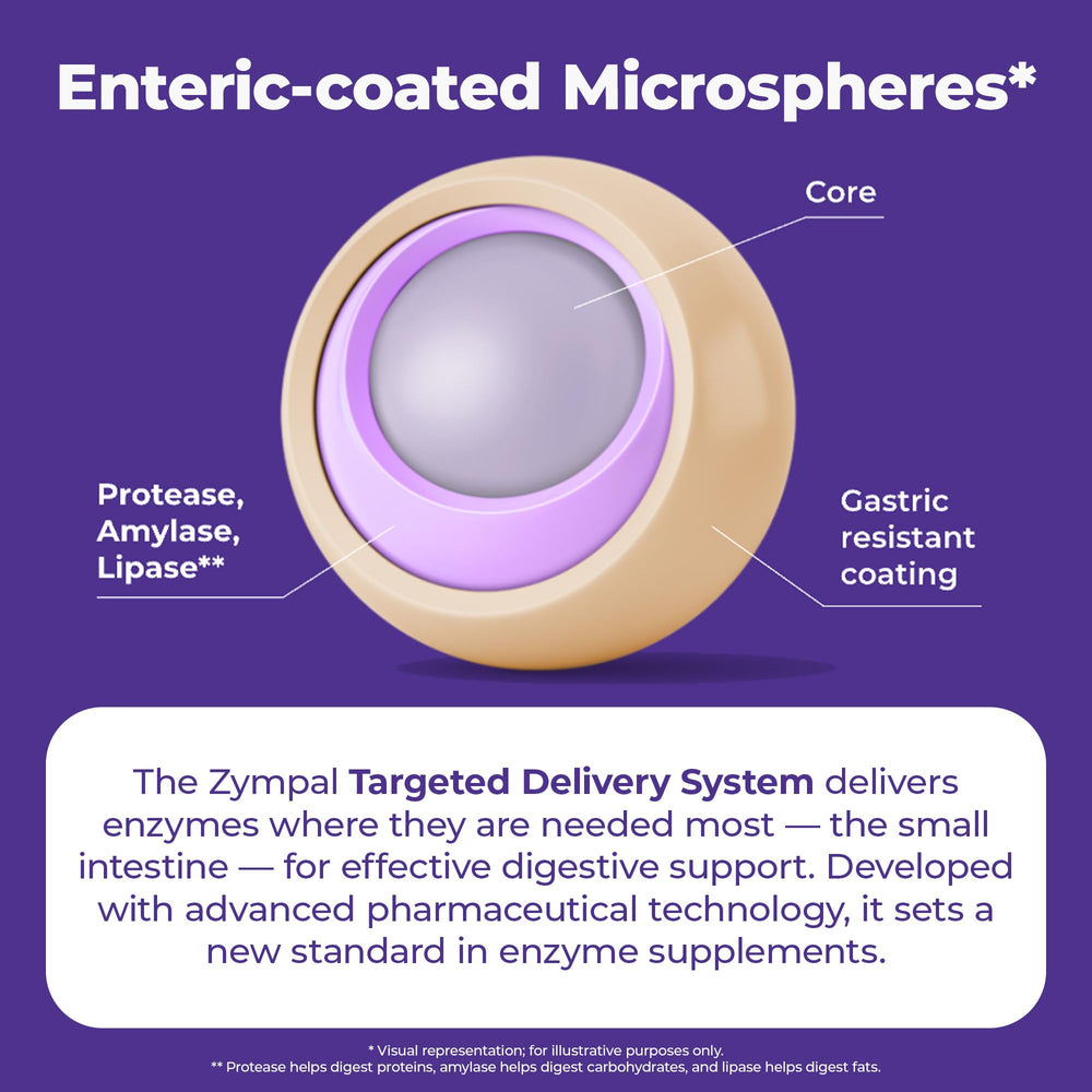 ZYMPAL digestive process concept visual suggesting fats and proteins breakdown.