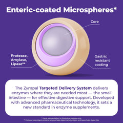 ZYMPAL digestive process concept visual suggesting fats and proteins breakdown.