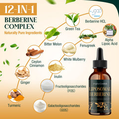 Zypherionixis amber berberine liquid highlights high absorption potential