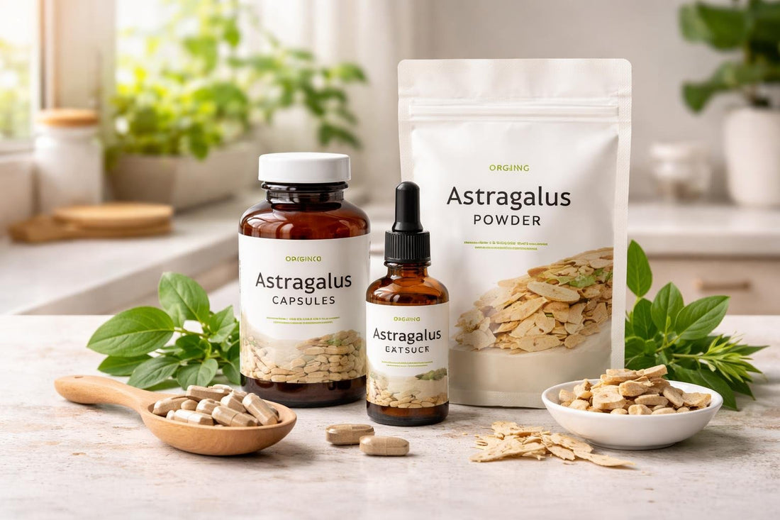 Astragalus herbal supplement options for everyday wellness