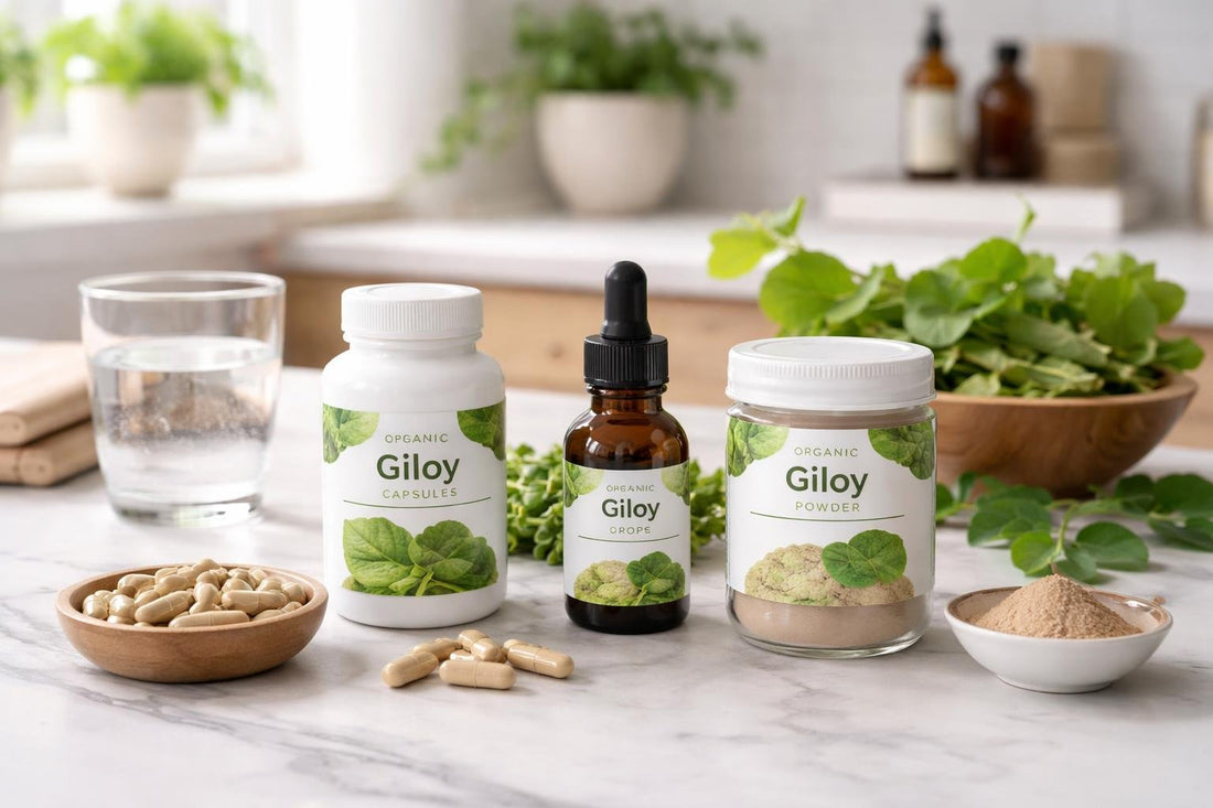 Giloy herbal supplement options for beginners in the UK
