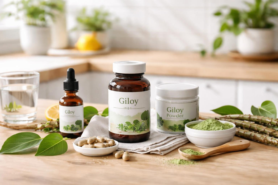 Giloy herbal supplement options for seasonal wellbeing routines