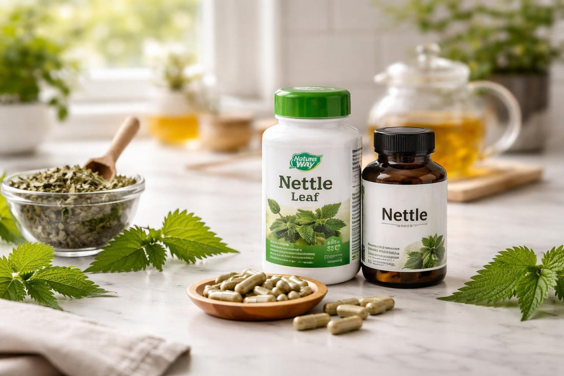 Bottles of nettle capsules and dried nettle leaves
