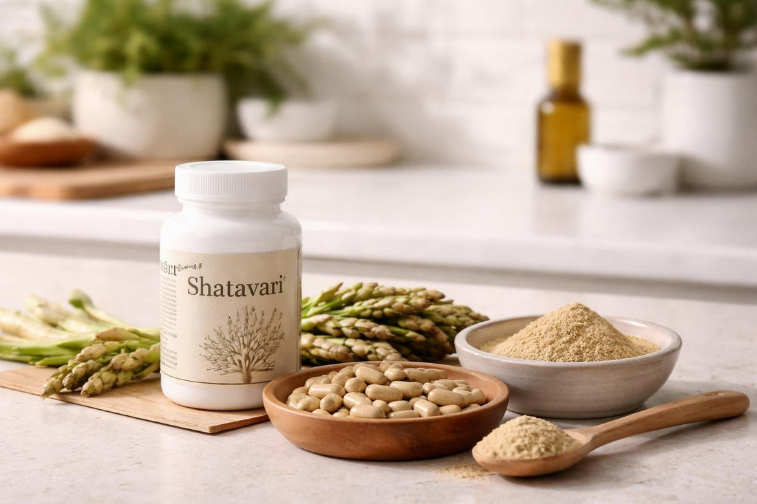 Shatavari herbal supplement capsules and powder on kitchen counter