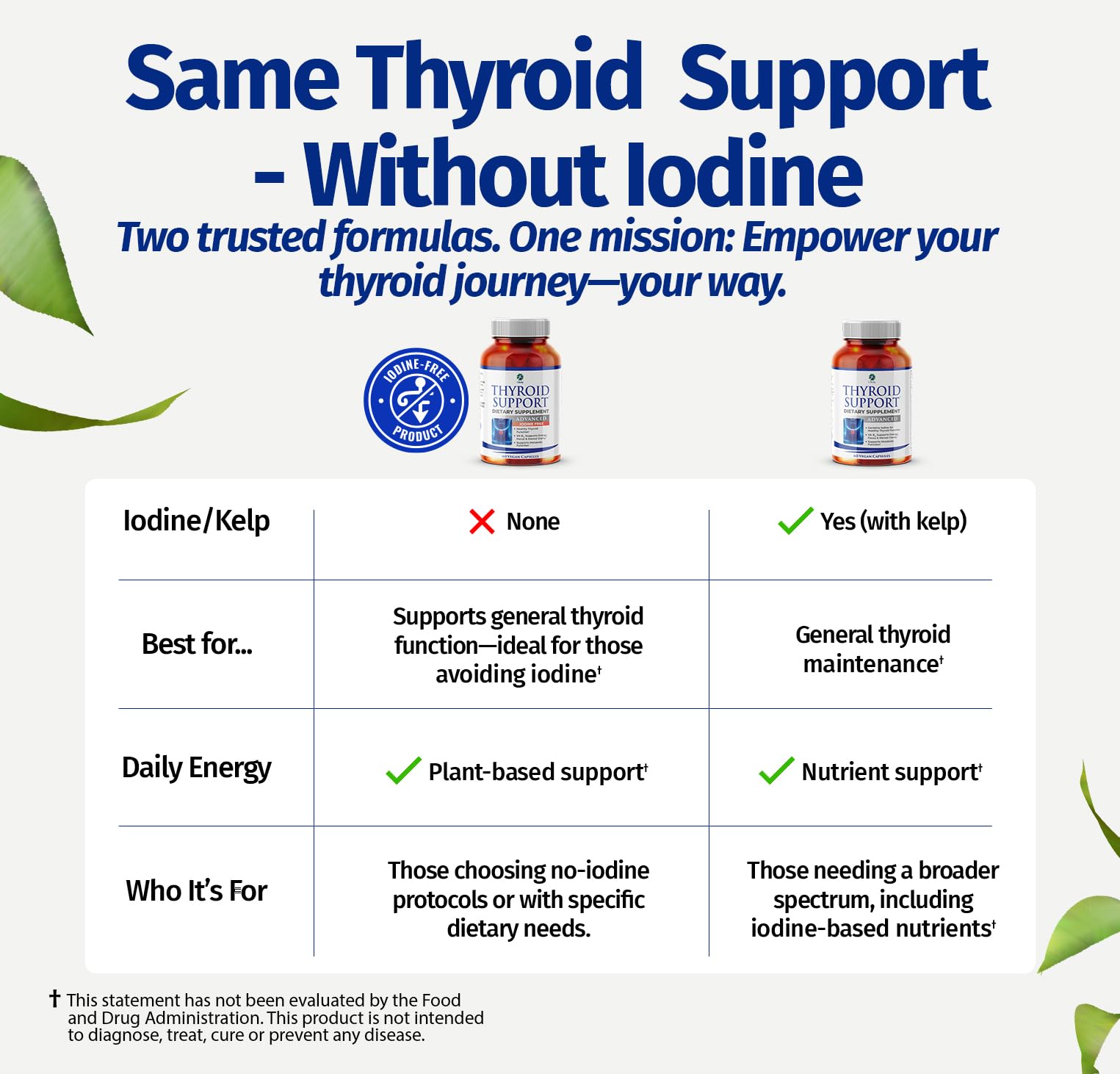 1 Body Thyroid Support with selenium and zinc for micronutrient balance
