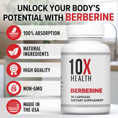 10X Health Berberine gut-health depiction highlighting digestion and balance.
