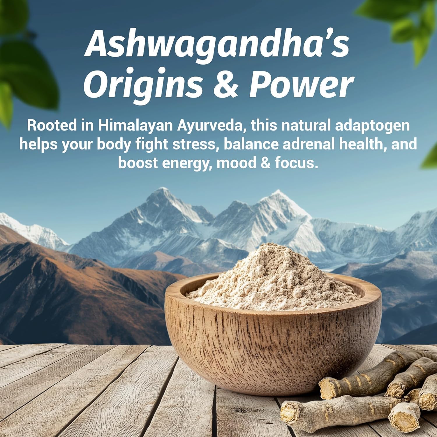1 Body Ashwagandha Complex capsules close-up, vegan capsules for plant-based routines