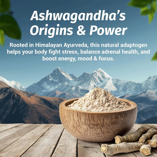 1 Body Ashwagandha Complex capsules close-up, vegan capsules for plant-based routines