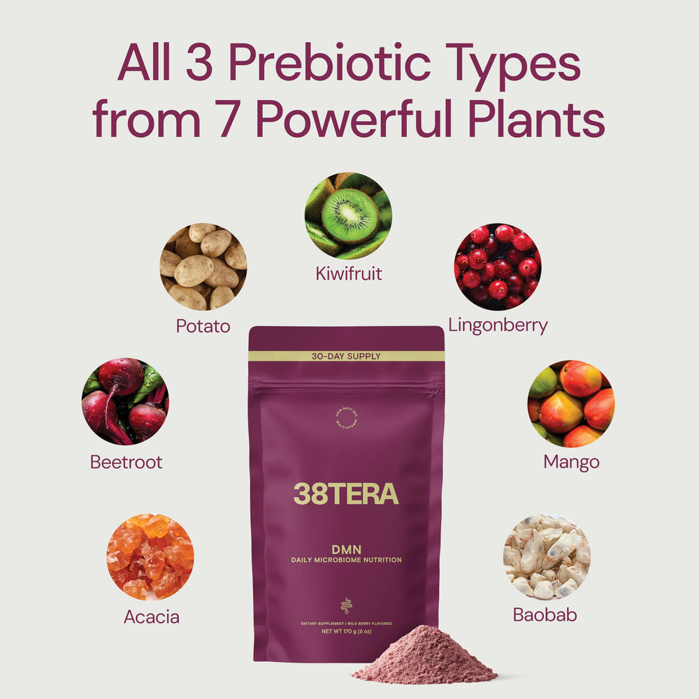 38TERA DMN smoothie idea suggests easy daily integration for gut-friendly routines.