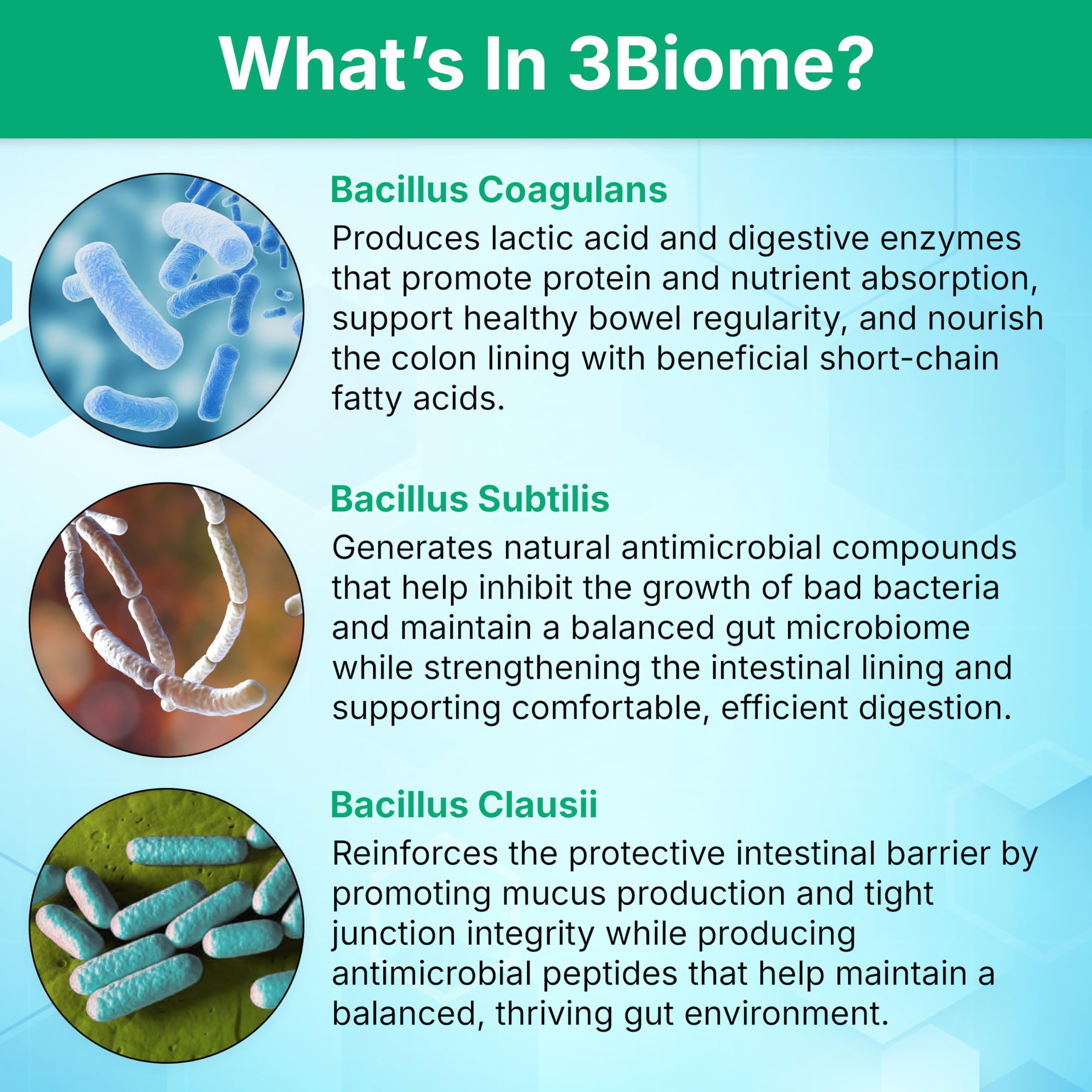 3Biome packaging box presenting a clean, trustworthy probiotic experience.