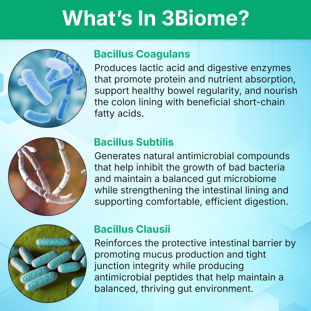 3Biome packaging box presenting a clean, trustworthy probiotic experience.