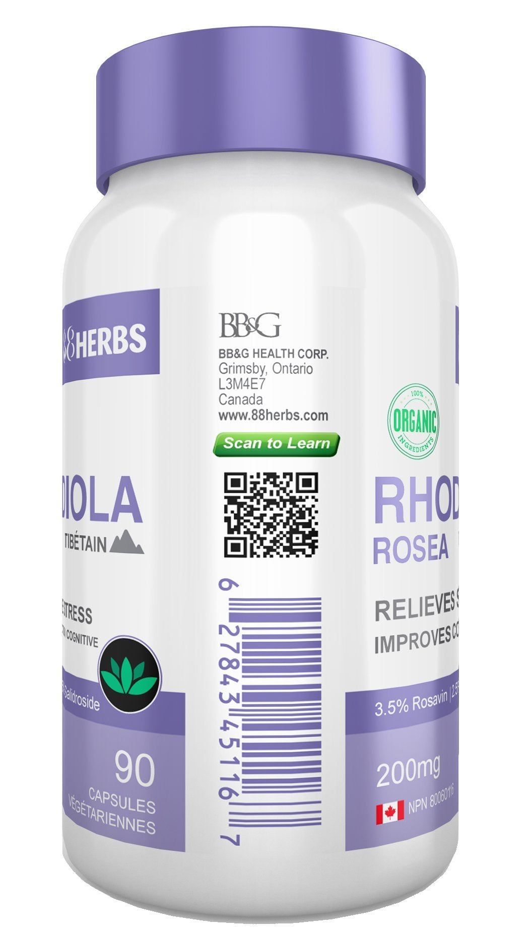 88herbs Rhodiola Rosea bottle pour demonstrates convenient daily dosage