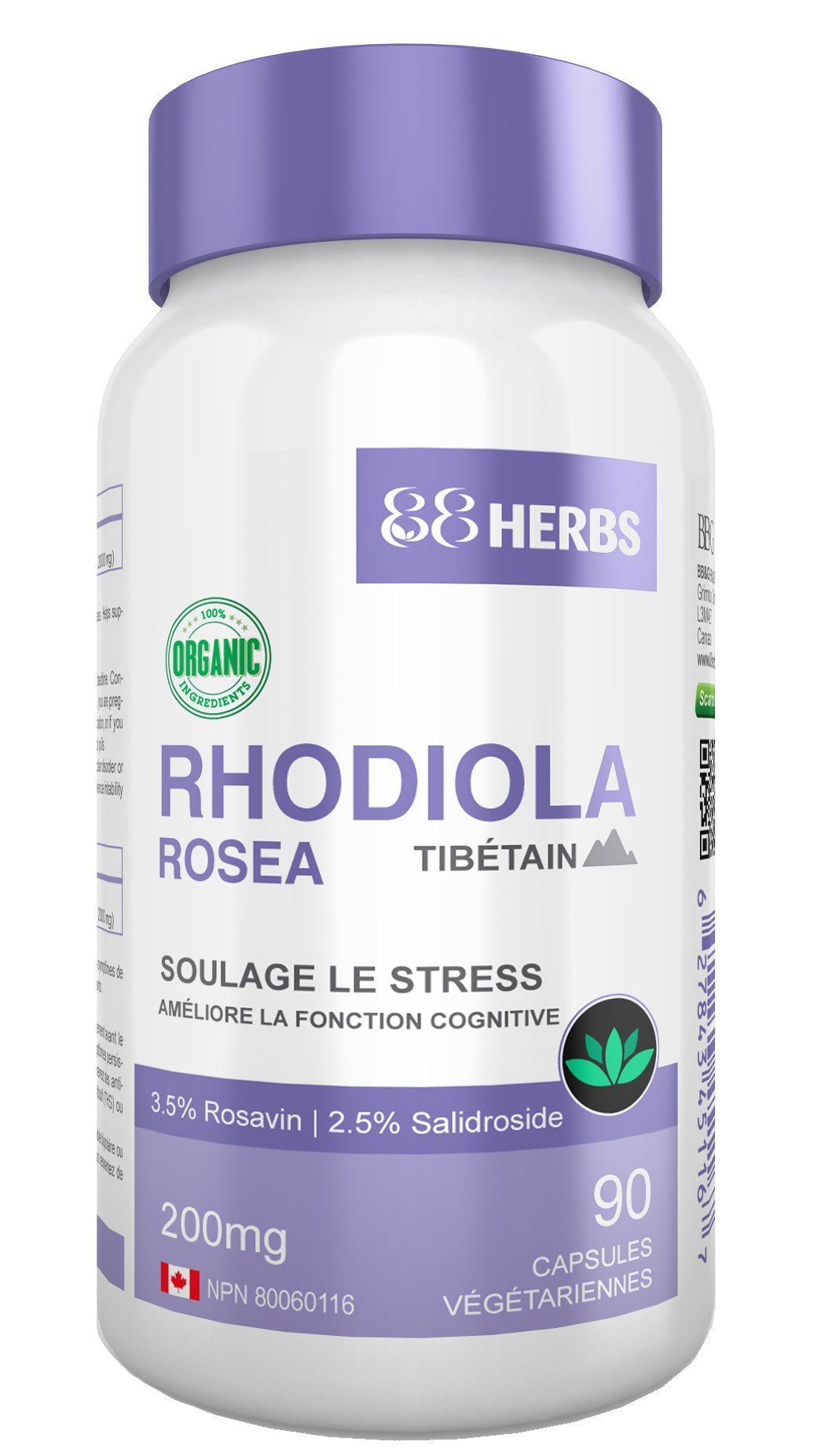 88herbs Rhodiola Rosea capsules close-up highlighting high potency adaptogen capsules