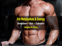Biotest Carbolin 19 pills lined up for lean progress