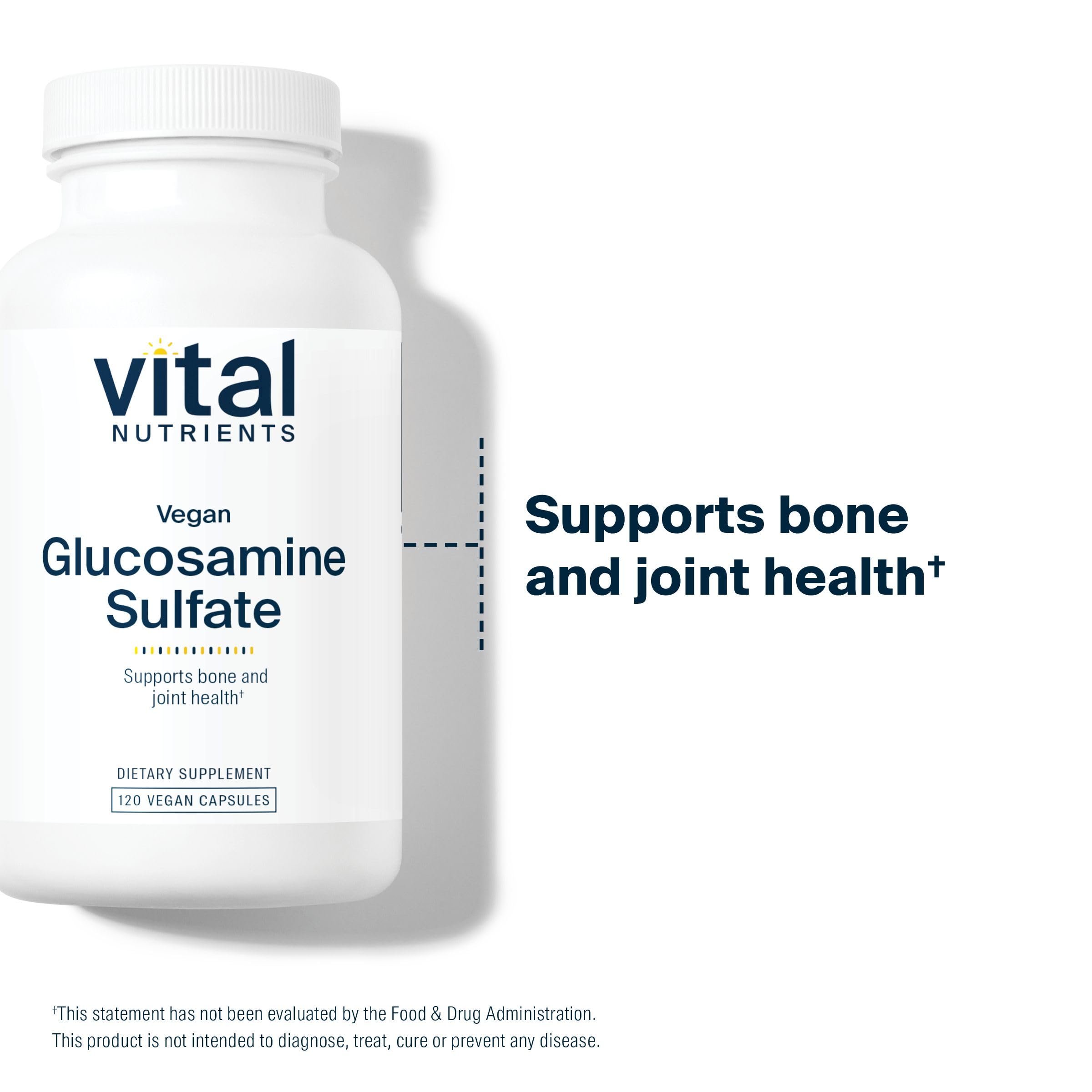 Lifestyle scene featuring daily mobility with Vital Nutrients glucosamine