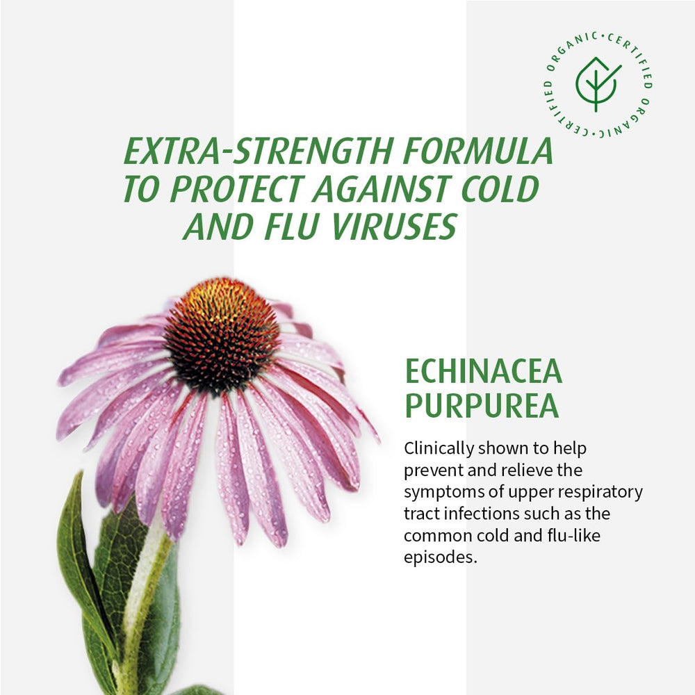 Illustration showing clinical support behind Echinaforce echinacea