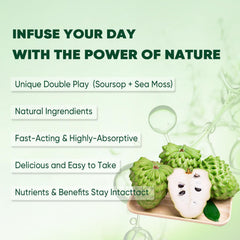 Aacnre QIZFYZZ moringa and herbs section signaling wellness mix.