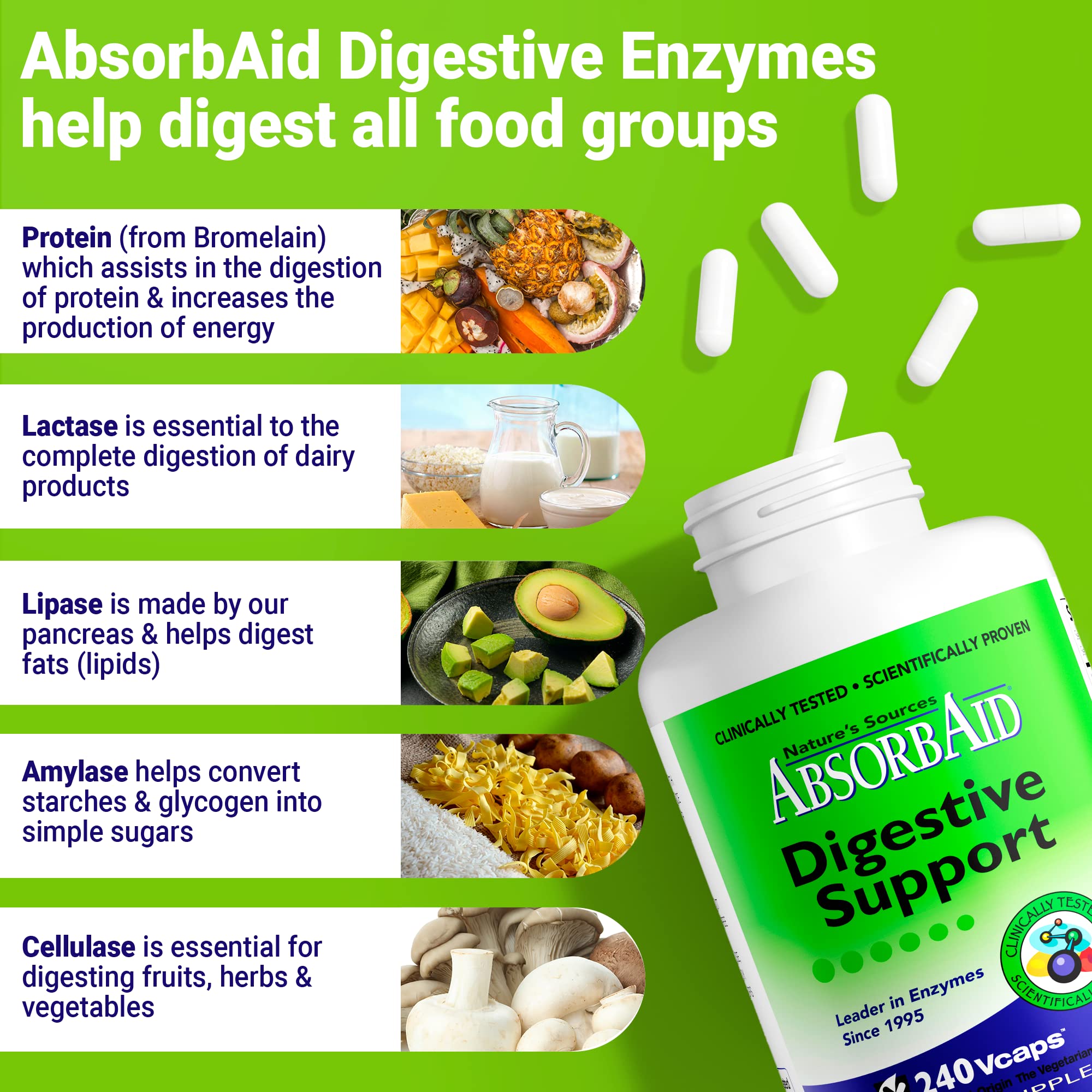 AbsorbAid capsules on spoon under lighting illustrating quick digestion aid.