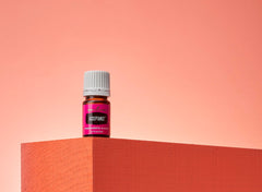 Diffuser releasing Acceptance oil fragrance for reflection and calm.