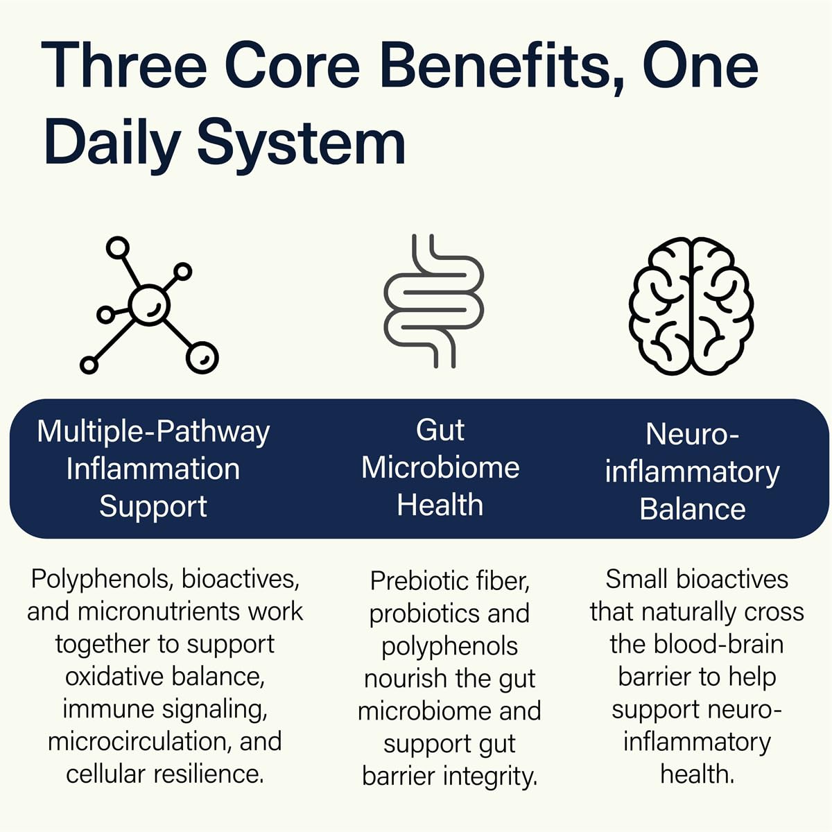 ACEND blend of phytonutrients, prebiotics, and probiotics supports a healthy inflammatory response.