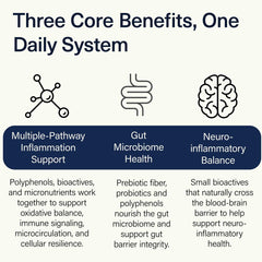 ACEND blend of phytonutrients, prebiotics, and probiotics supports a healthy inflammatory response.
