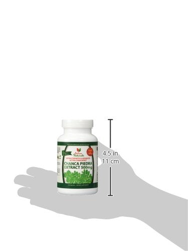 Activa Naturals herbal extract ingredients close-up
